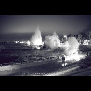 Meet your Posher, Bruce